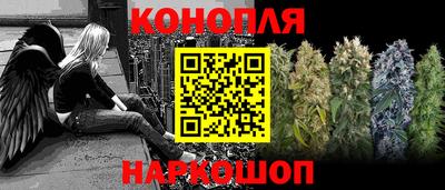 стаф Кунгур