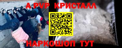 стаф Кунгур